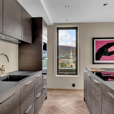 Luxury Downtown Apartment With Private Jacuzzi 公寓 特罗姆瑟